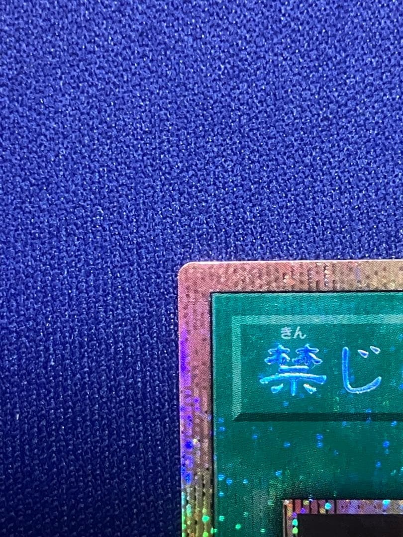 禁じられた聖冠 プリシク