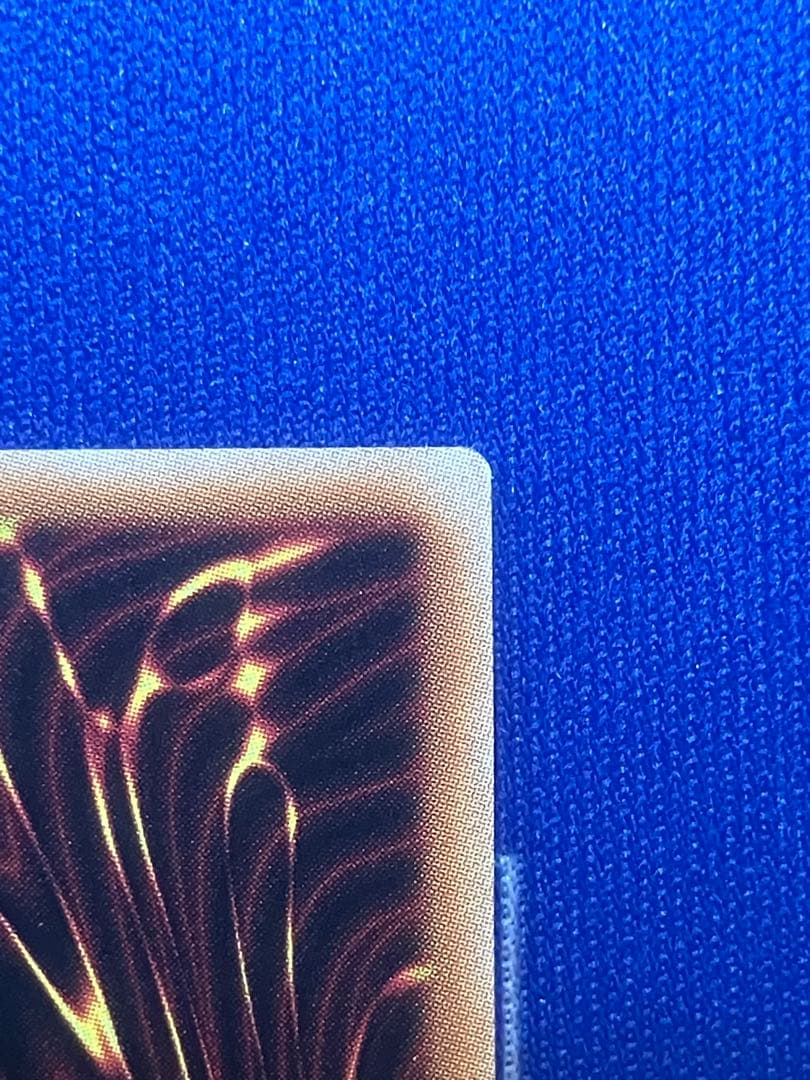 禁じられた聖冠 プリシク