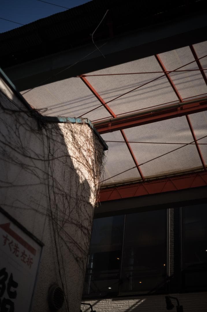 ズマール　50 f2 クローム　作例有り