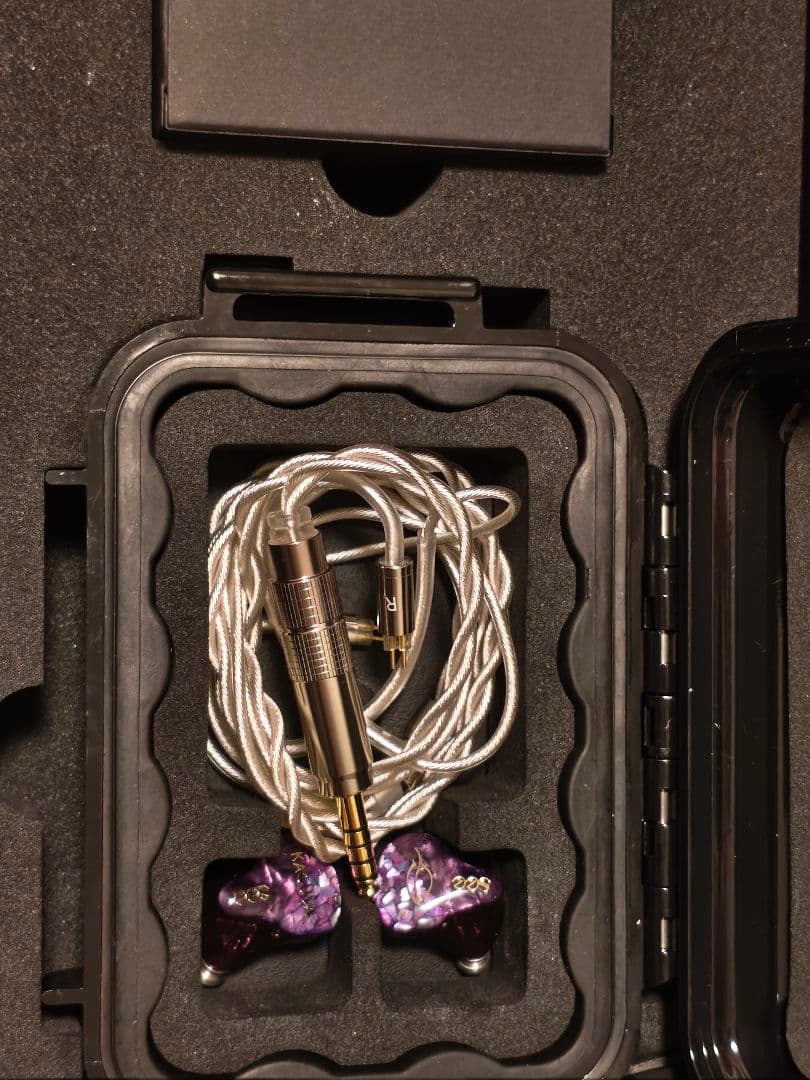 SeeAudio KAGUYA 4BA + 4EST イヤホン　延長保証あり