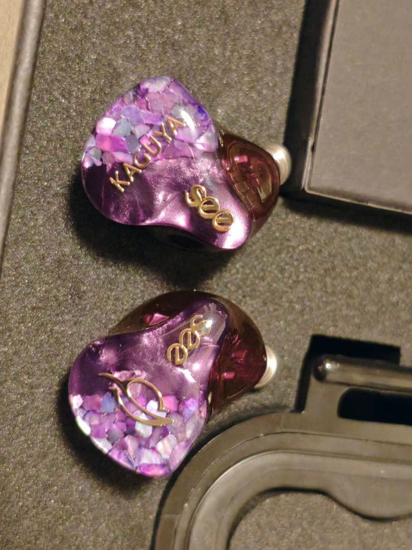 SeeAudio KAGUYA 4BA + 4EST イヤホン　延長保証あり