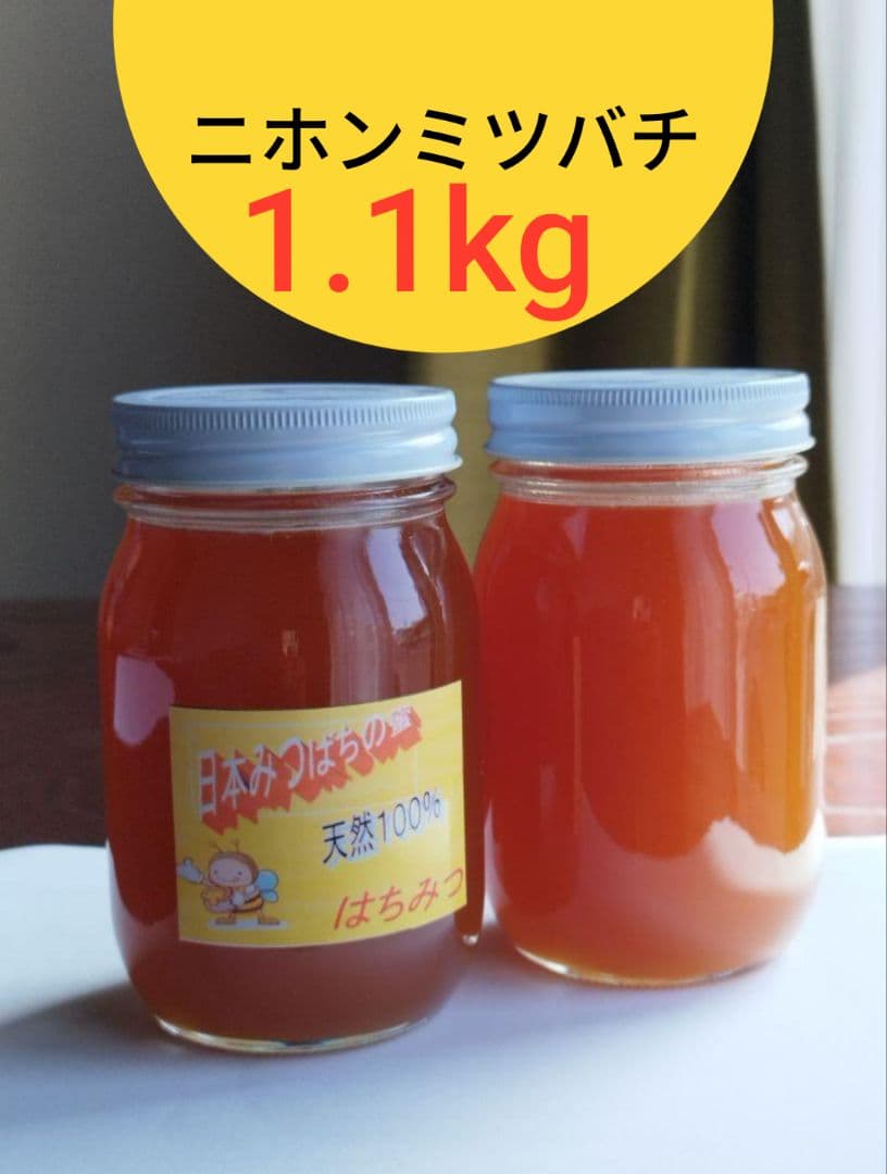 庭時間様限定■国産ハチミツ