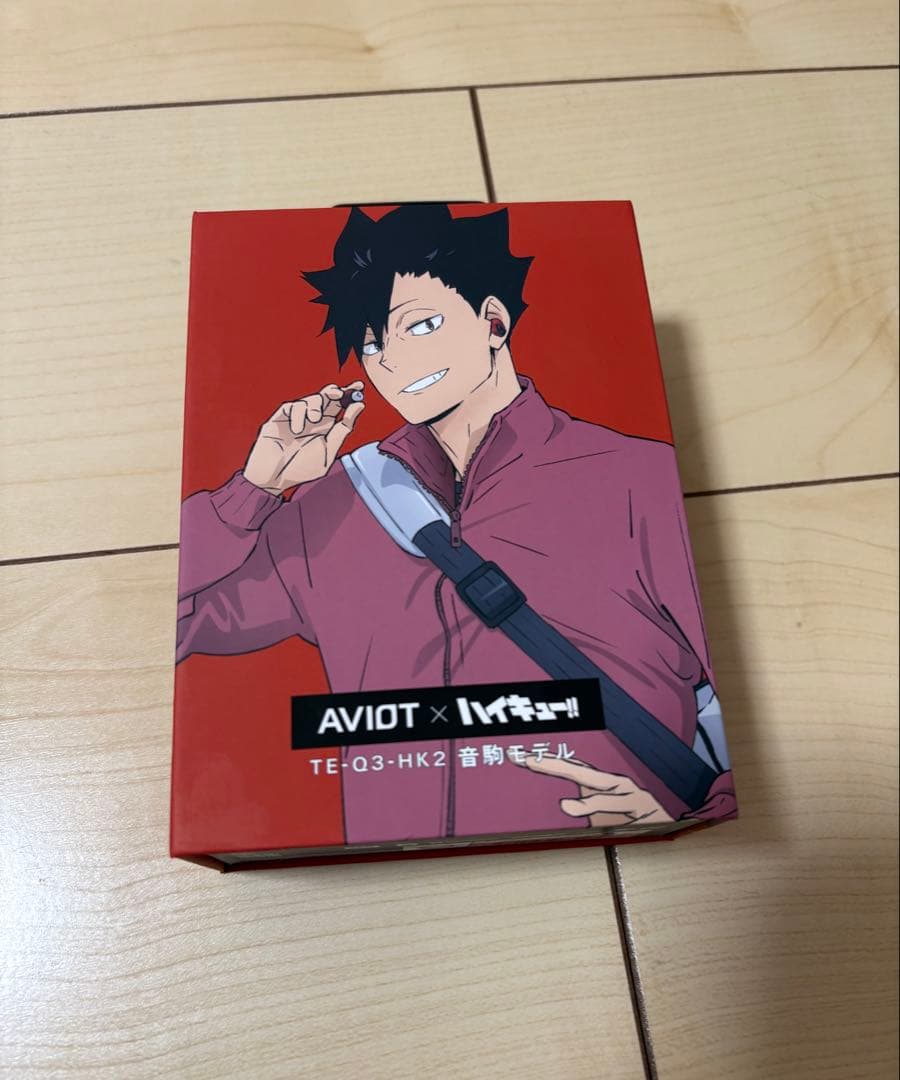 AVIOT×ハイキュー!! 音駒高校モデル TE-Q3-HK2