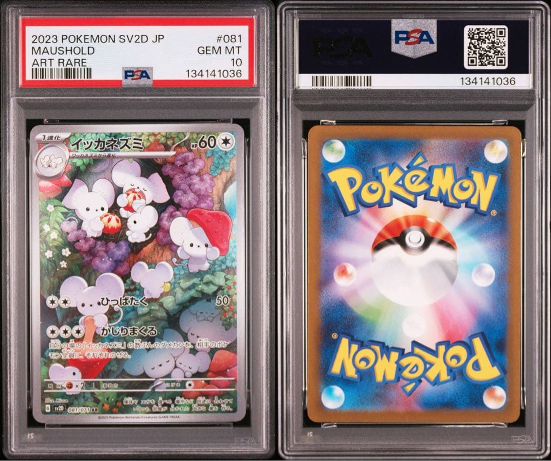 【PSA10】イッカネズミAR 081/071