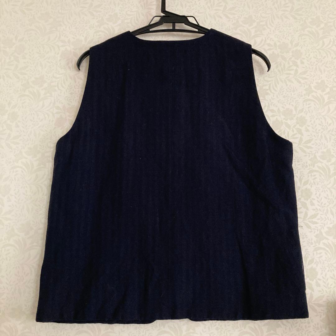 Houttuynia cordata ホーチュニア　コターダ　ベスト　ネイビー