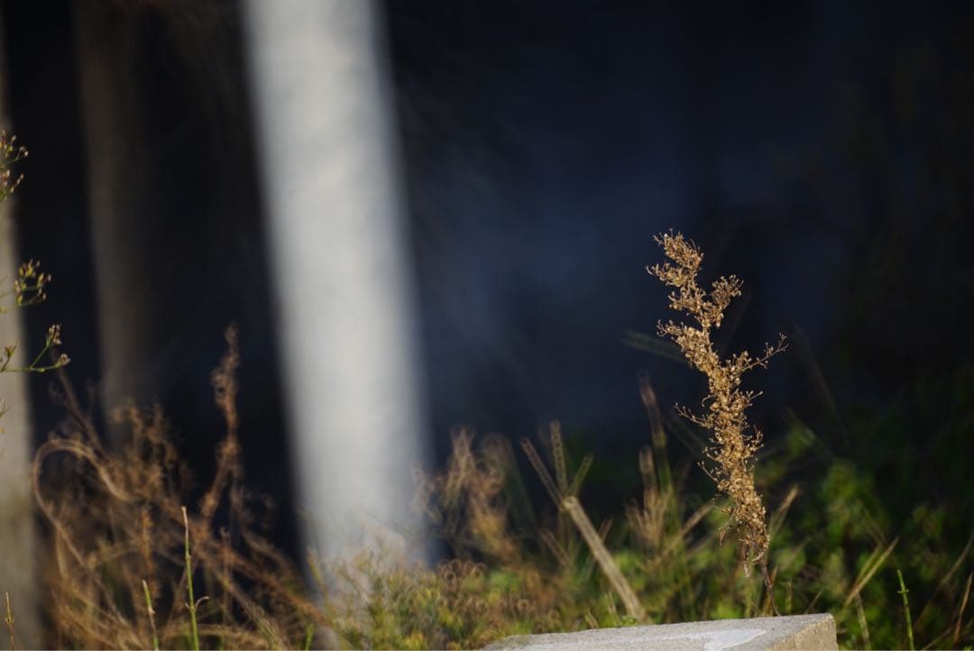 ニコンミラーレンズ500 F8