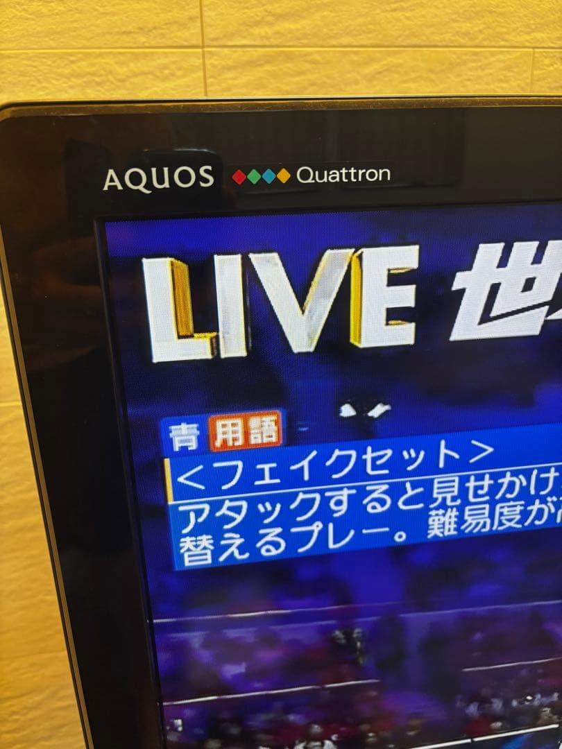 AQUOS クアトロン3D液晶LC-46LV3 2010年