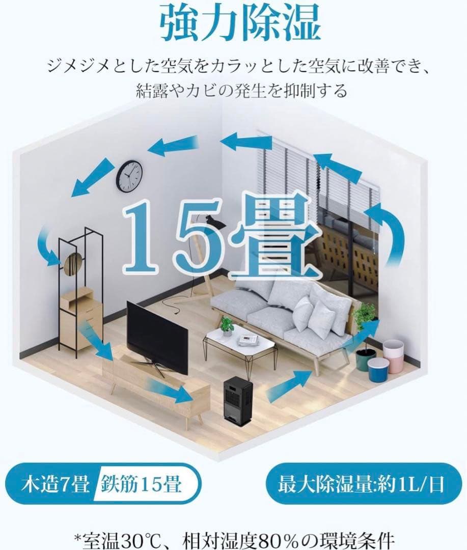 格安価格❣️ 除湿機 ペルチェ式 YP2118(ブラック) 節約