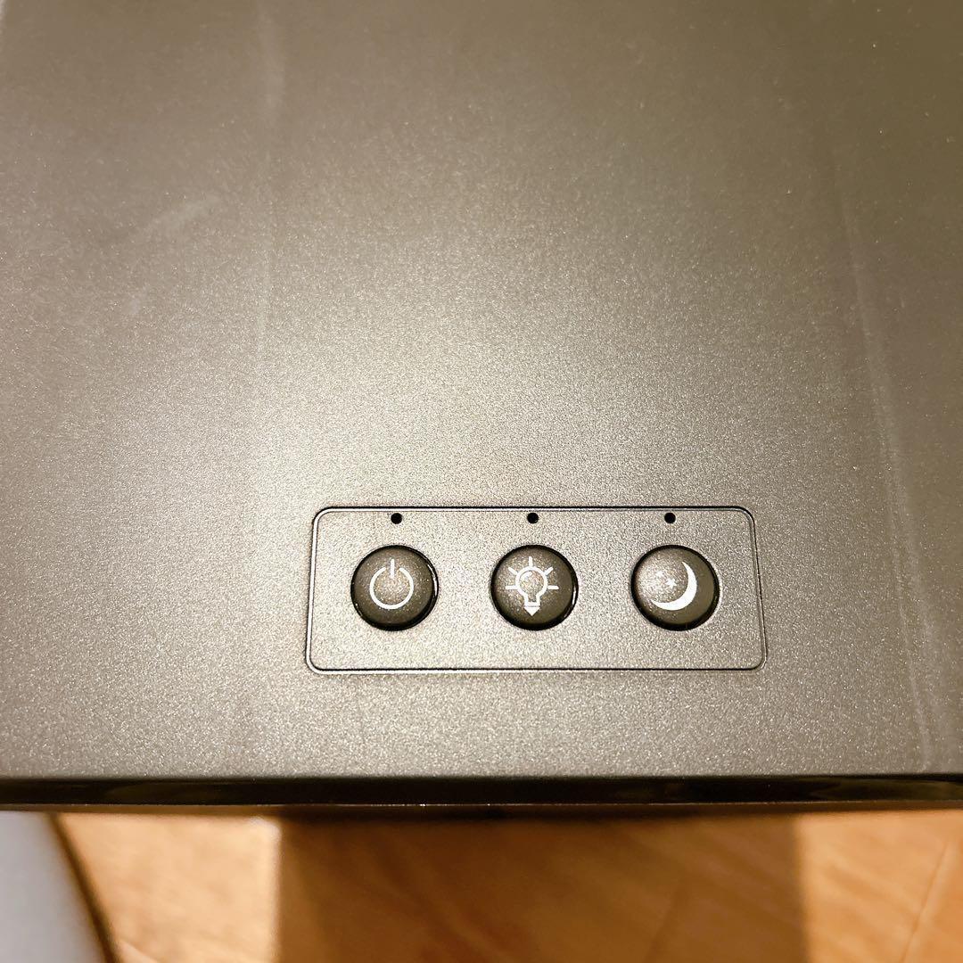 格安価格❣️ 除湿機 ペルチェ式 YP2118(ブラック) 節約