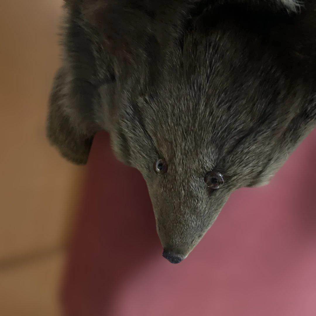 オリーブグリーン フォックスファーショートジャケット　ジレ　ベスト