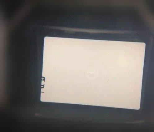 【grasshopper】Olympus OM-1