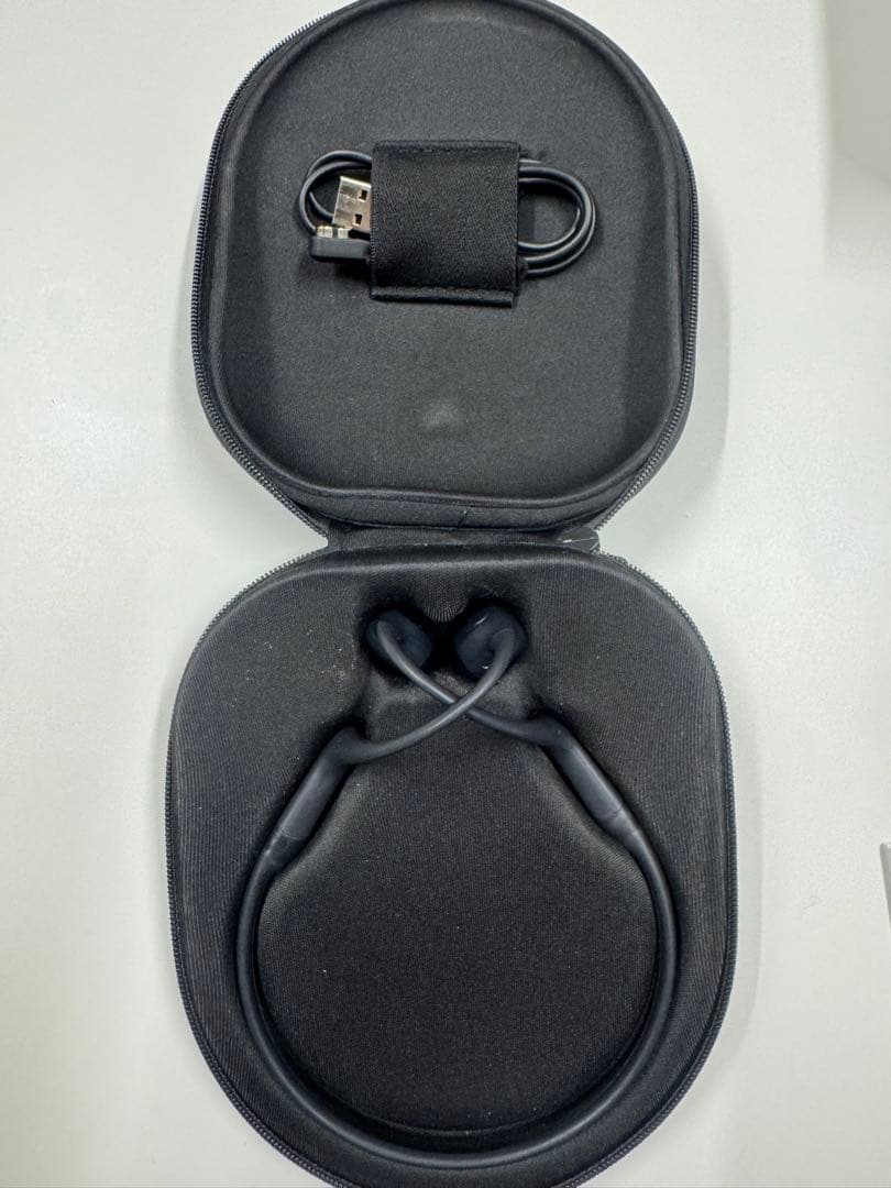 イヤホン SHOKZ OPENRUN Pro