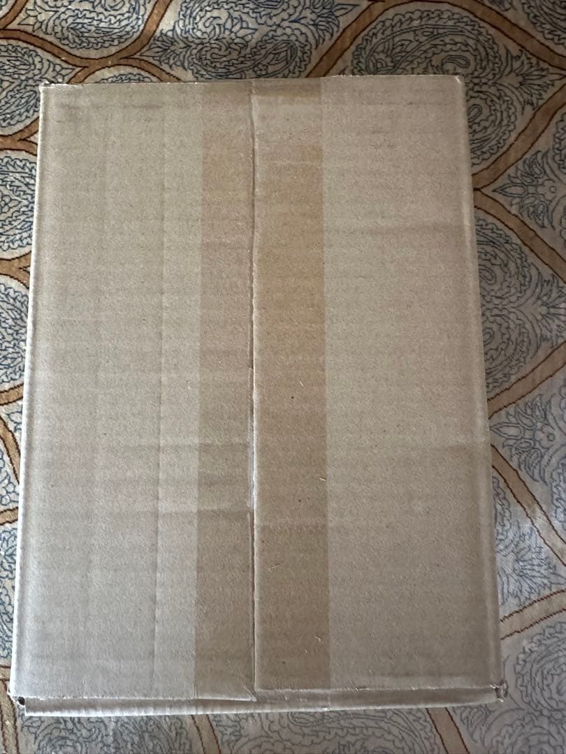 MANGA BOOSTER 02 [SB02] ボックス　未開封