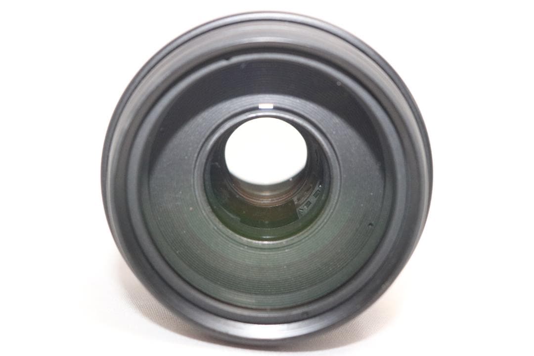 超望遠レンズ⭐Canon EF 100-300mm 運動会・スポーツ観戦・野鳥