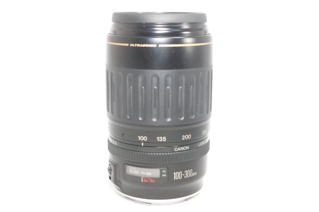 超望遠レンズ⭐Canon EF 100-300mm 運動会・スポーツ観戦・野鳥