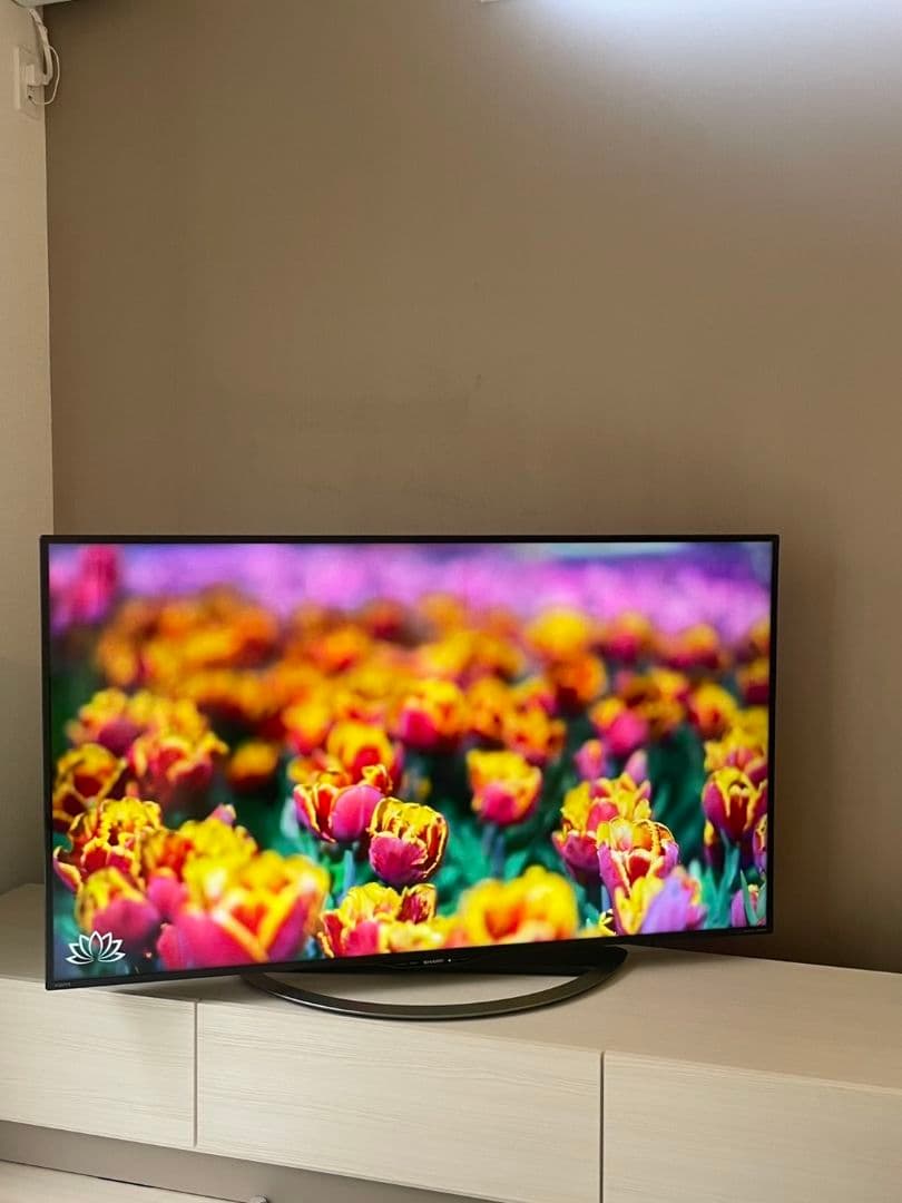 専用シャープ 4K 液晶テレビ 50インチ