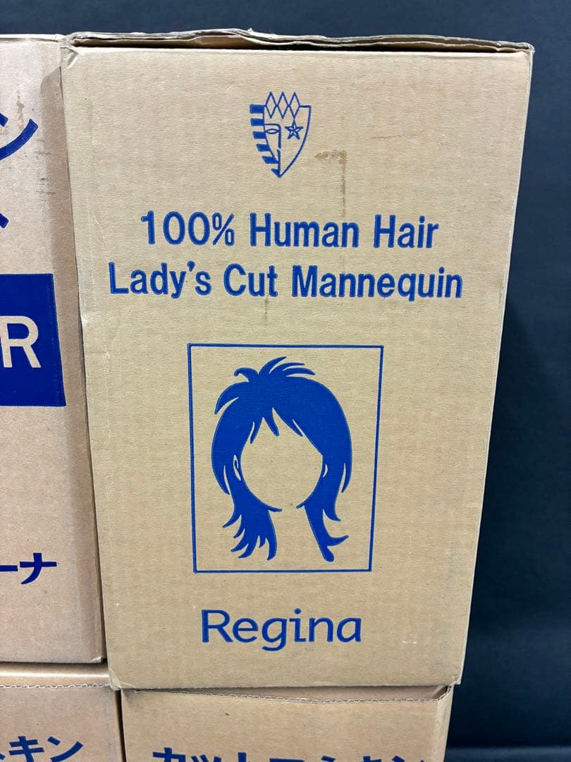 新品未使用品　レジーナカットウィッグ (練習用) CUT-60R