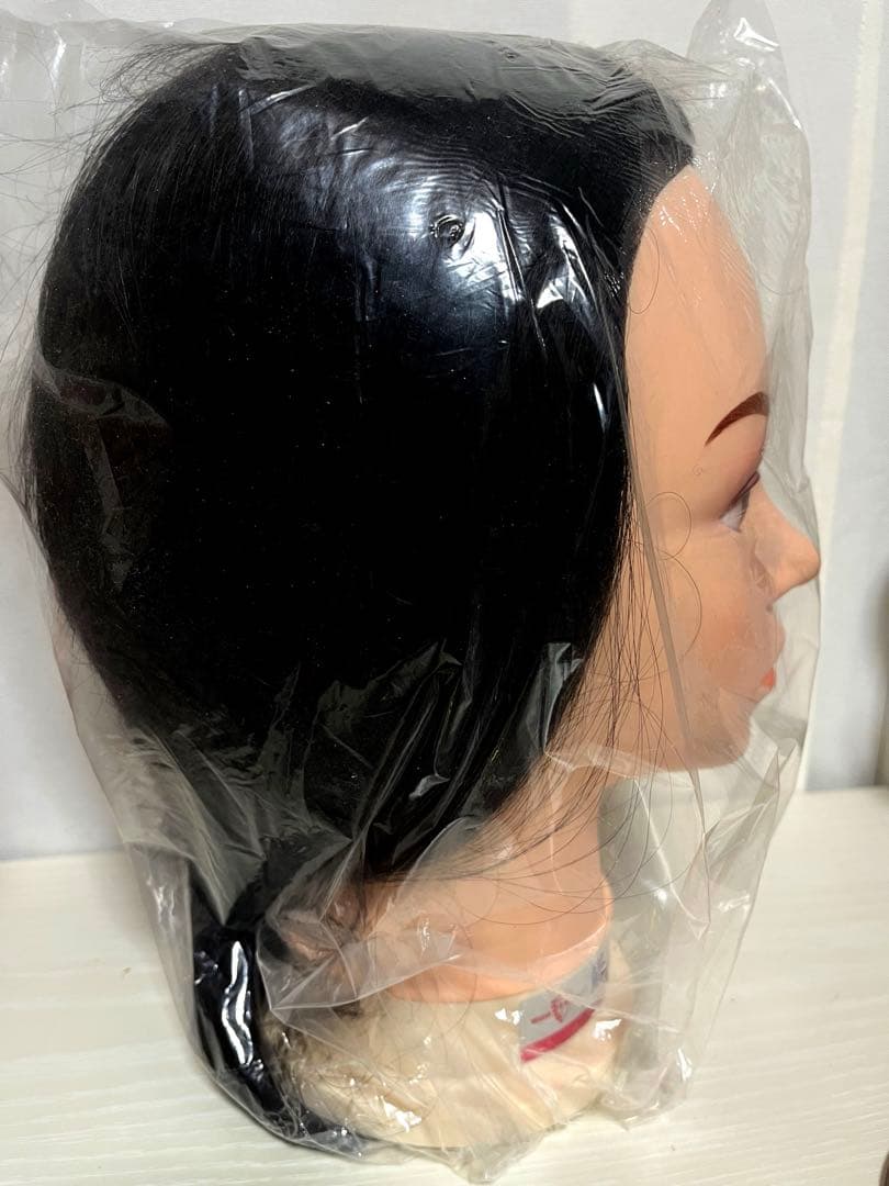 レジーナ ワインディング ウィッグ 国試用