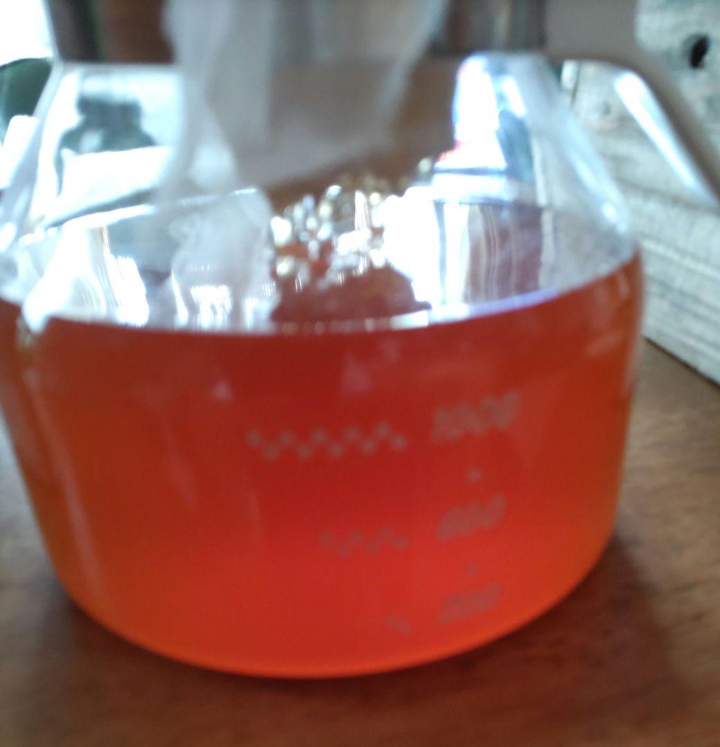 日本ミツバチ濃厚蜂蜜（秋蜜600g✕2）