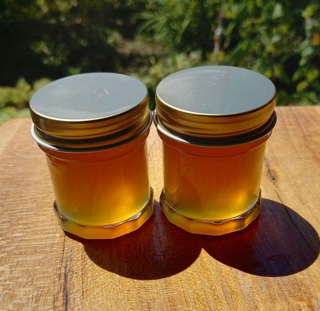 日本ミツバチ濃厚蜂蜜（秋蜜600g✕2）