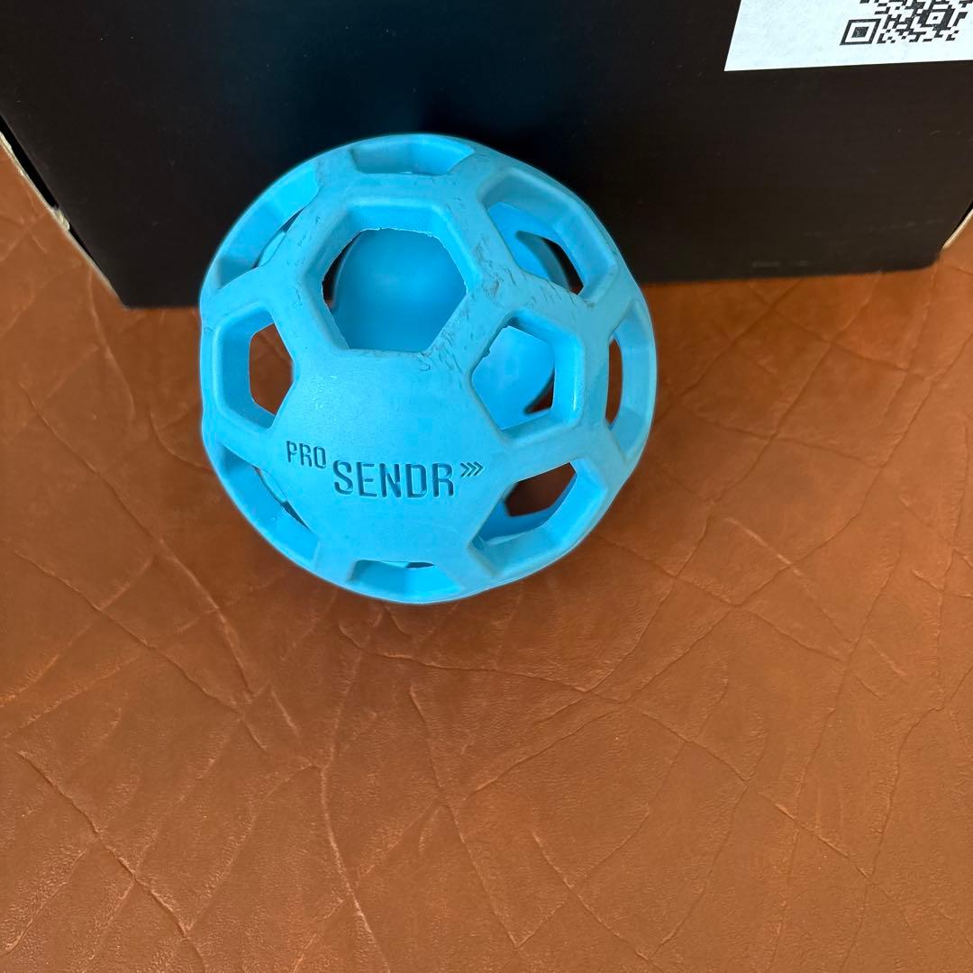 プロセンダー　PRO SENDR ゴルフ