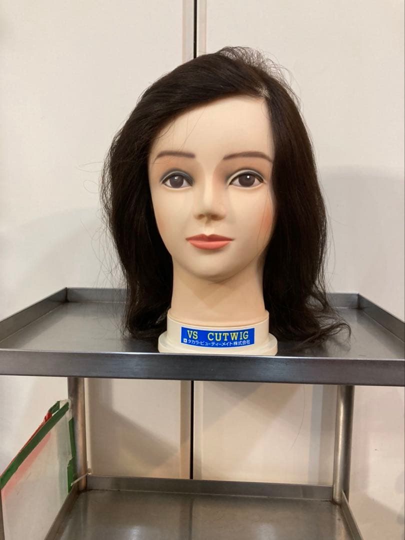 haaaさん専用　VSウイッグ4個セット美容師トレーニング用