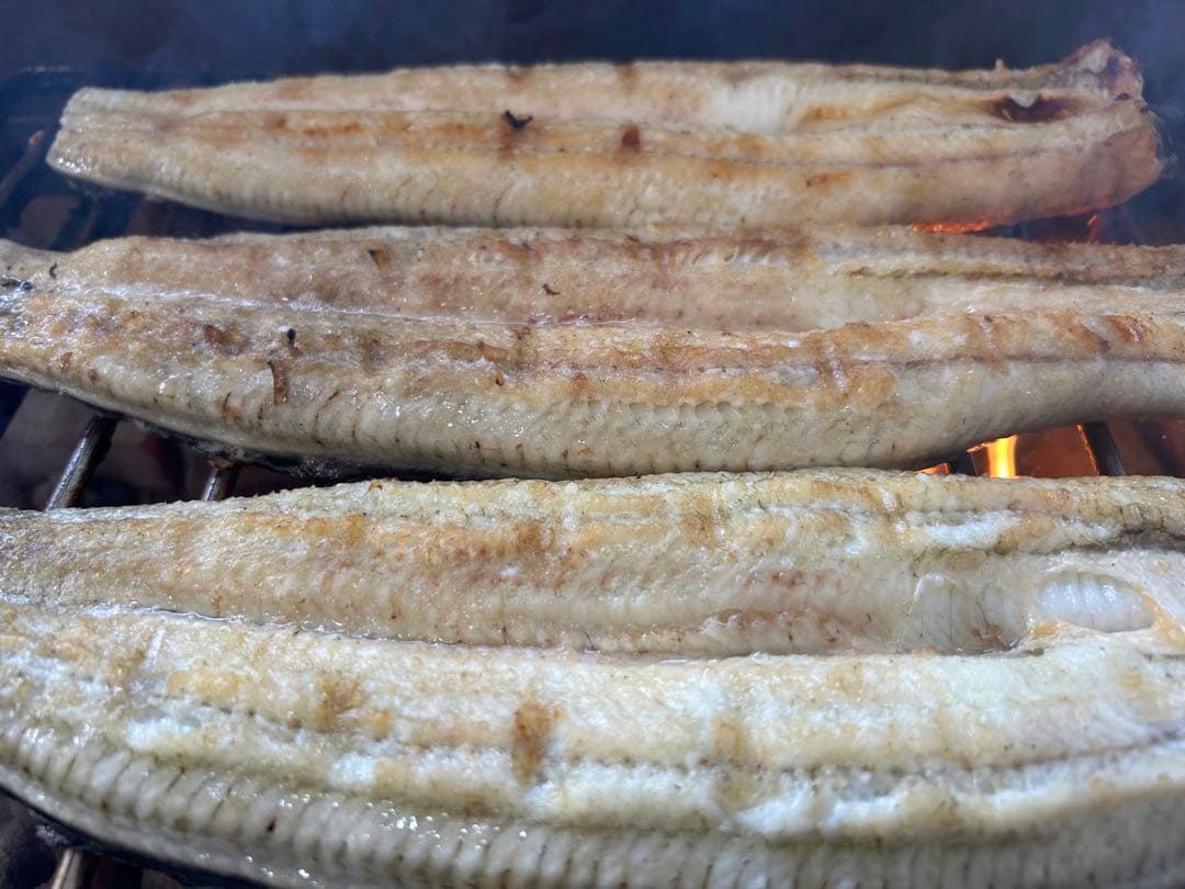 ［特大鰻］［国産うなぎ］［特大6尾］三河一色産　鰻　炭焼き