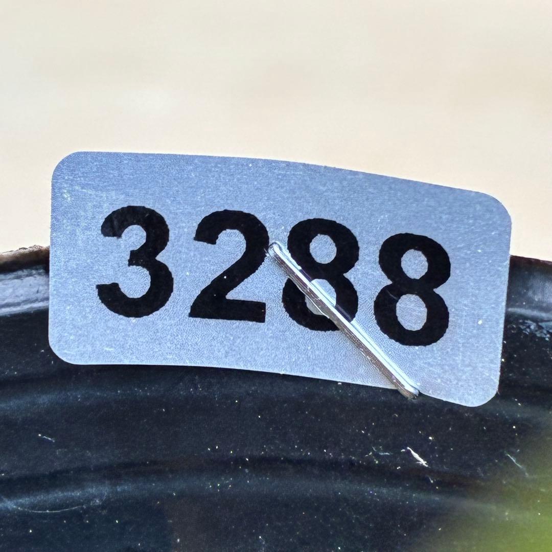 夕*え様 ❤️根パンパン❤️沢山新芽ワサワサ元気株❤️3288⭐️ふんわりパステ