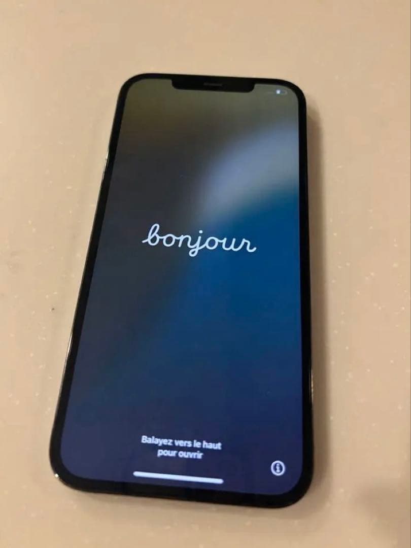 Apple iPhone 12 Pro グラファイト　256GB