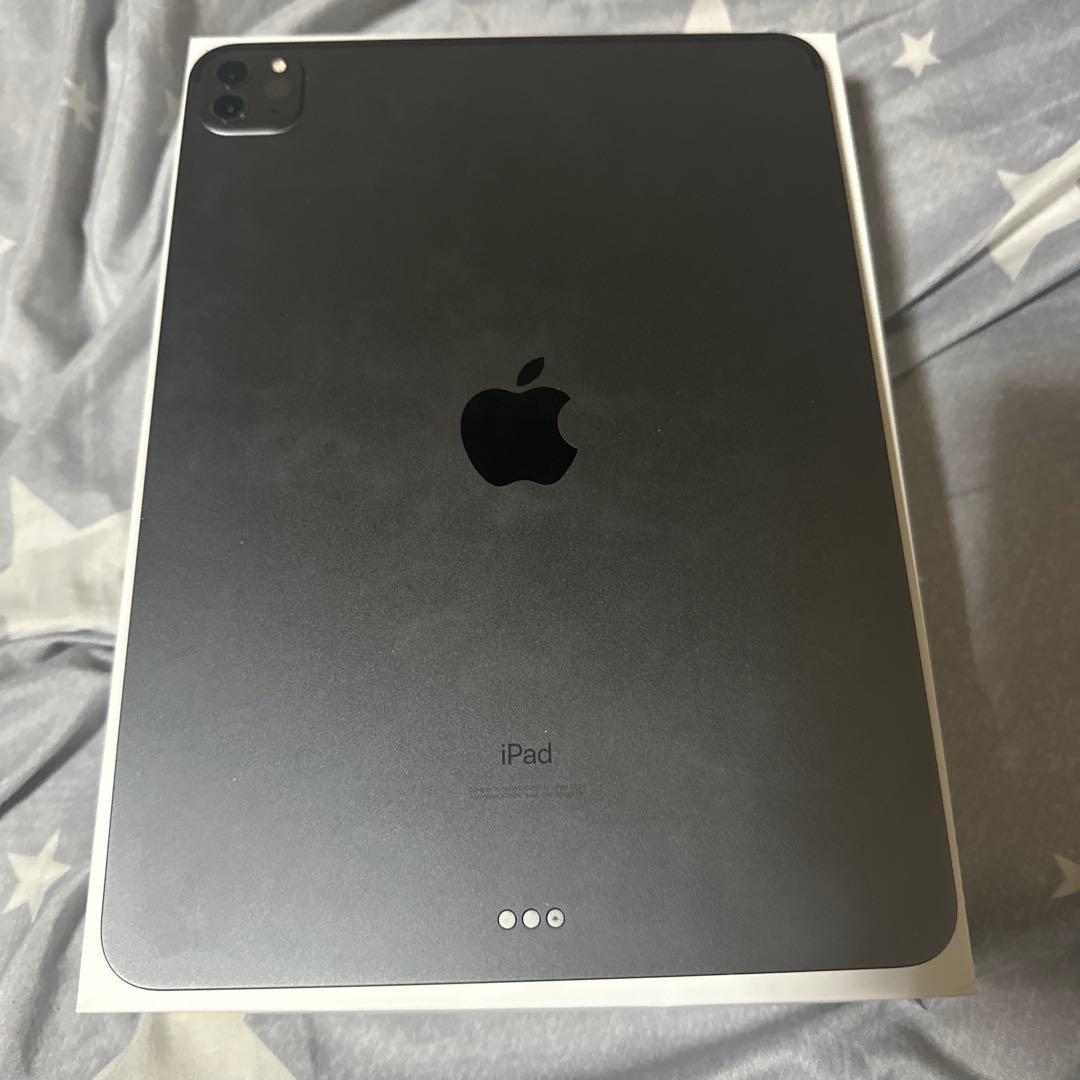 Apple iPad pro 第二世代　11インチ スペースグレー 本体