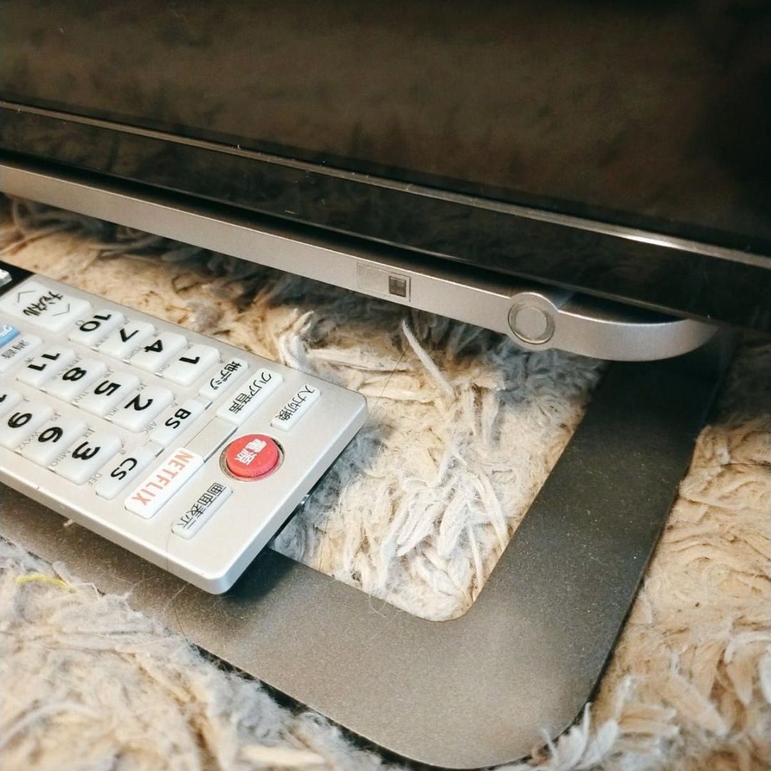 REGZA TOSHIBA 液晶カラーテレビ　43G20X 2016年製