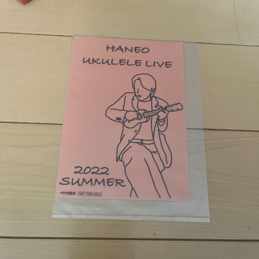 石子と羽男-そんなコトで訴えます?- DVD-BOX〈7枚組〉