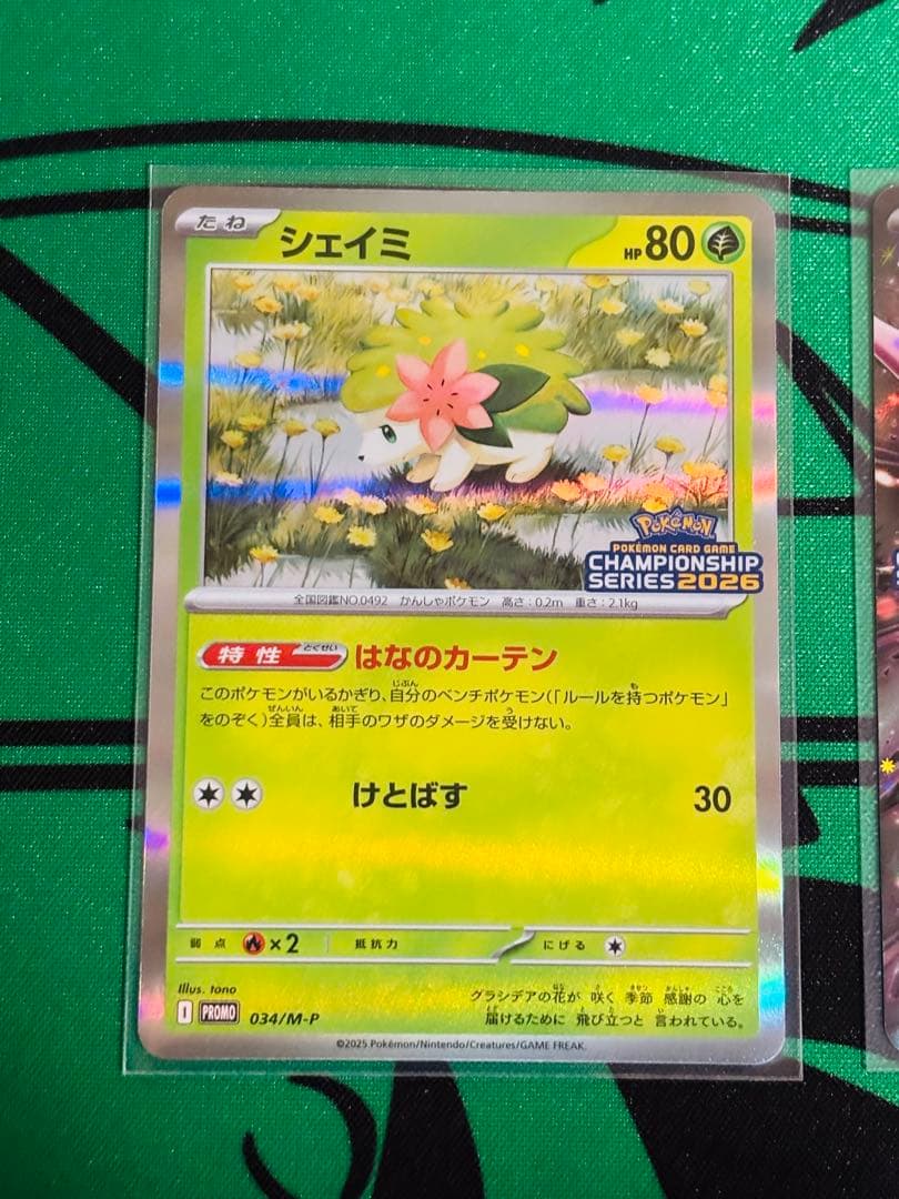 ロケット団のミュウツーex & シェイミ 勝利賞プロモ