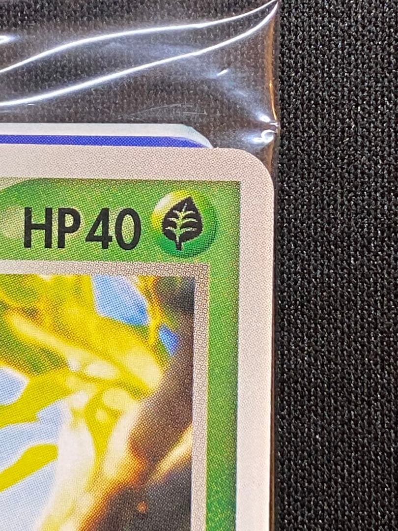 【未開封】キモリ　037/PCG ポケモンセンターヨコハマ　オープン記念　プロモ