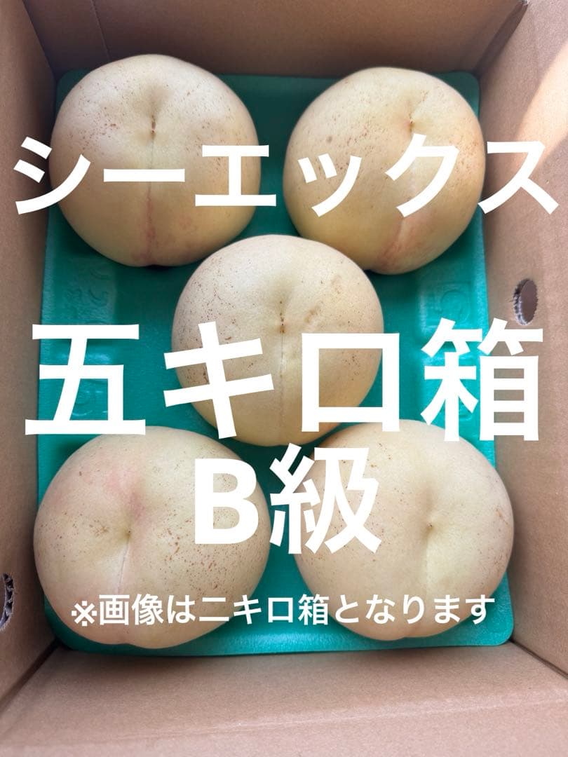 B級　五キロ箱