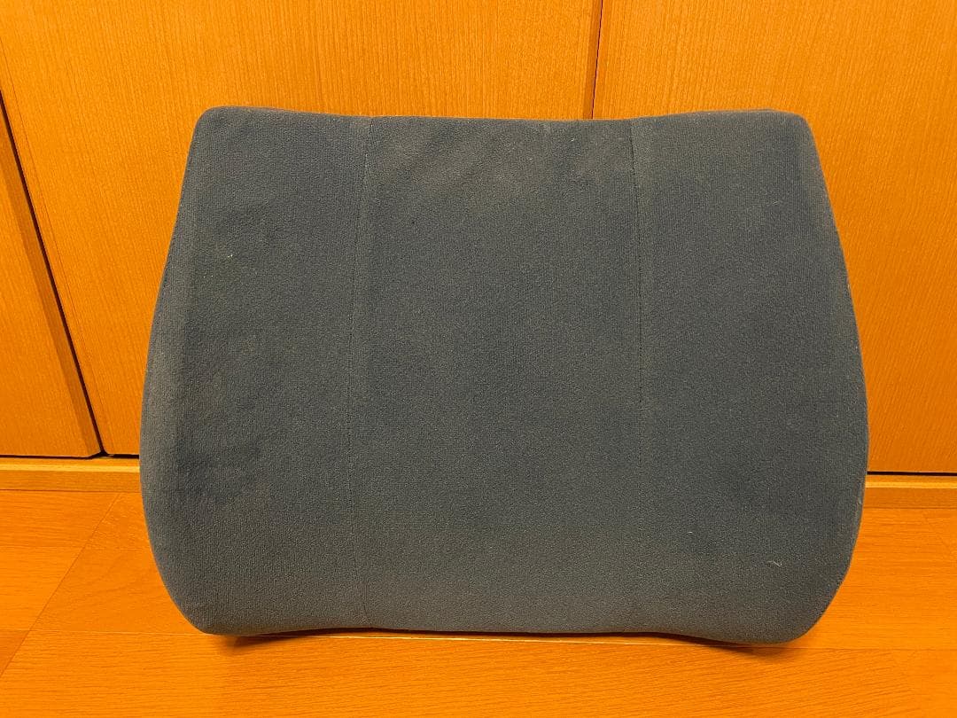 back huggar バックハガー　姿勢矯正　クッション　２点セット