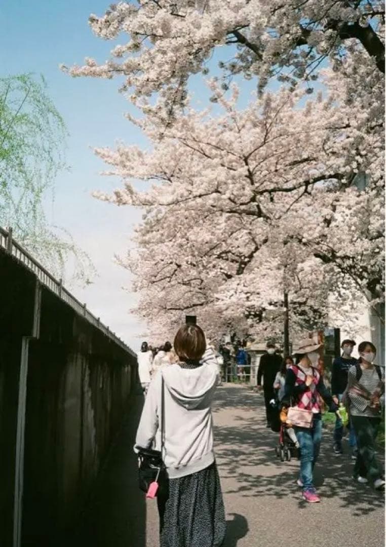 動作確認済み】canon snappy 20 フィルムカメラ　赤　レッド