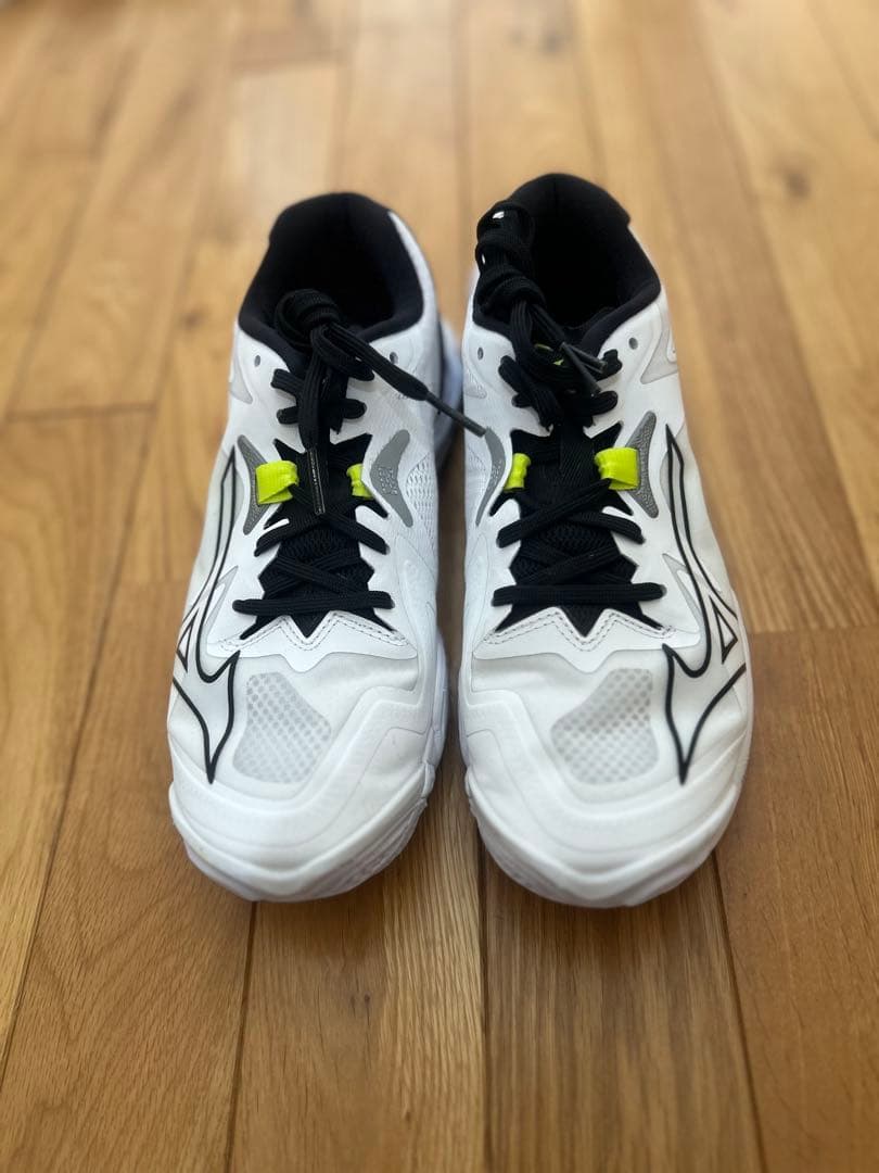 専用　ミズノバレーボールシューズ ウェーブライトニング Z8 25cm