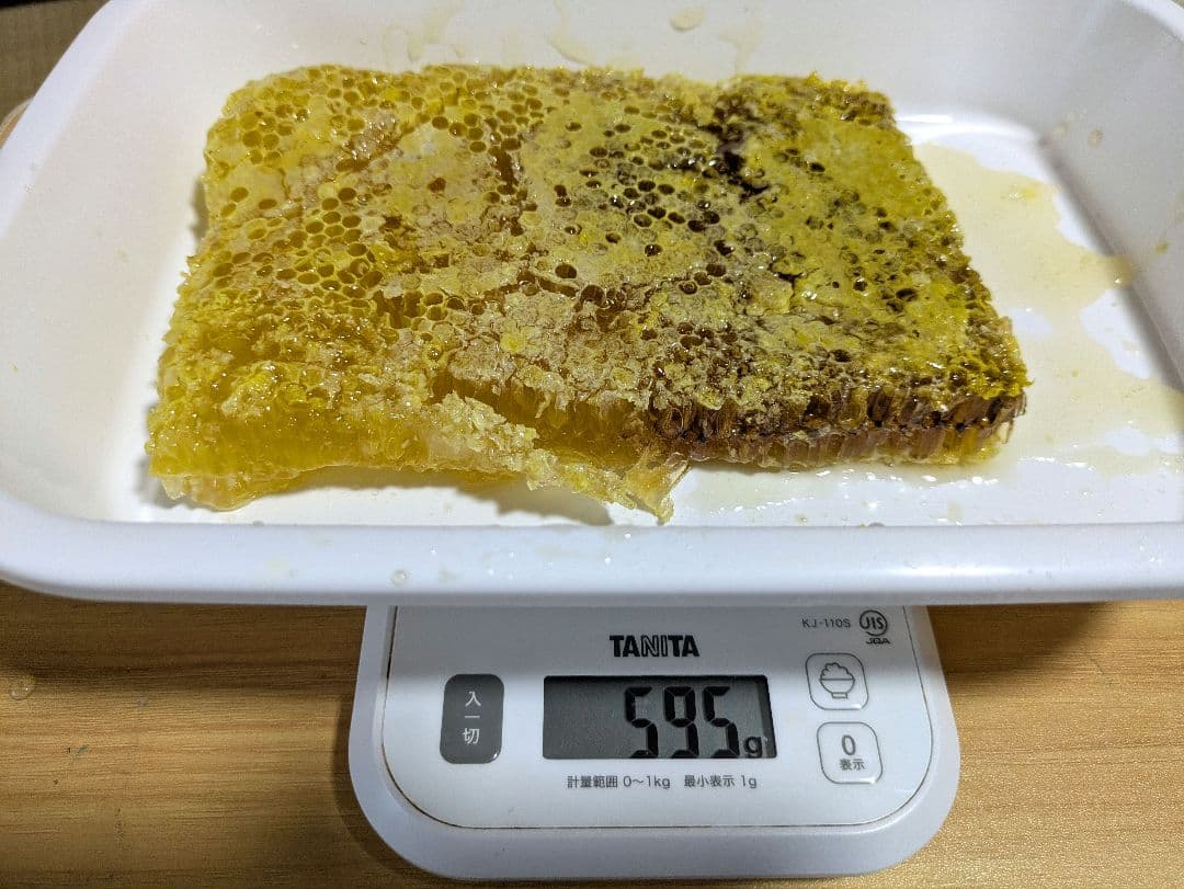 日本みつばち　コムハニー 甘い　フレッシュ　とれたて