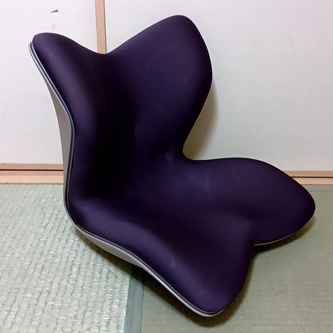 MTG Style PREMIUM スタイルプレミアム　姿勢矯正チェア　取説付き