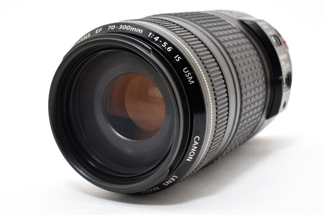 キャノン EF 70-300mm F4-5.6 IS USM #21405