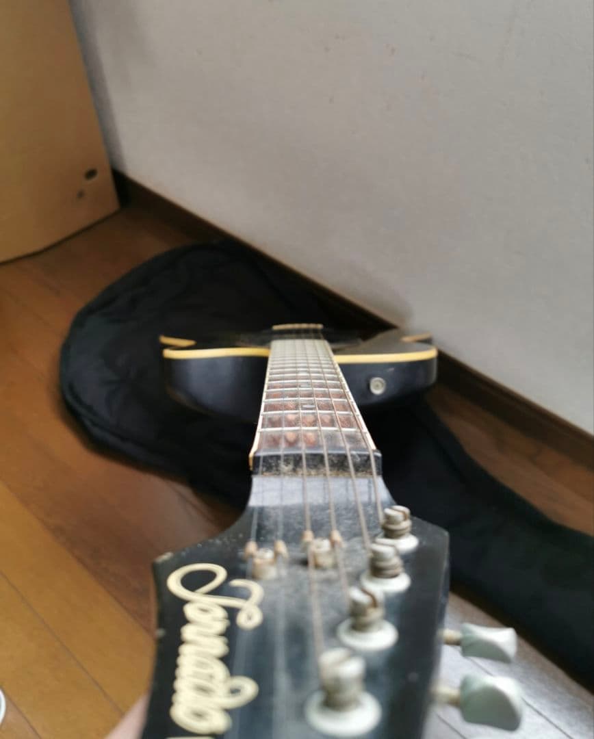 【ソフトケース付き】エレアコ morris Tornado ECLIPSE