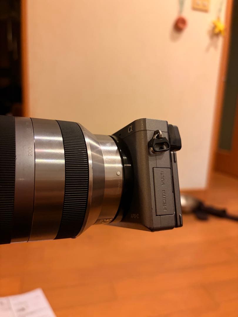 SONY α6000 ミラーレス一眼 E 18-200mm SEL18200