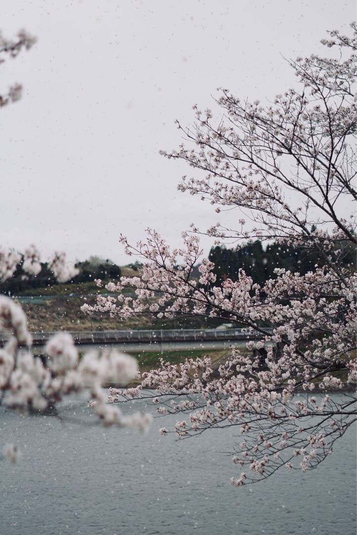 SONY α6000 ミラーレス一眼 E 18-200mm SEL18200