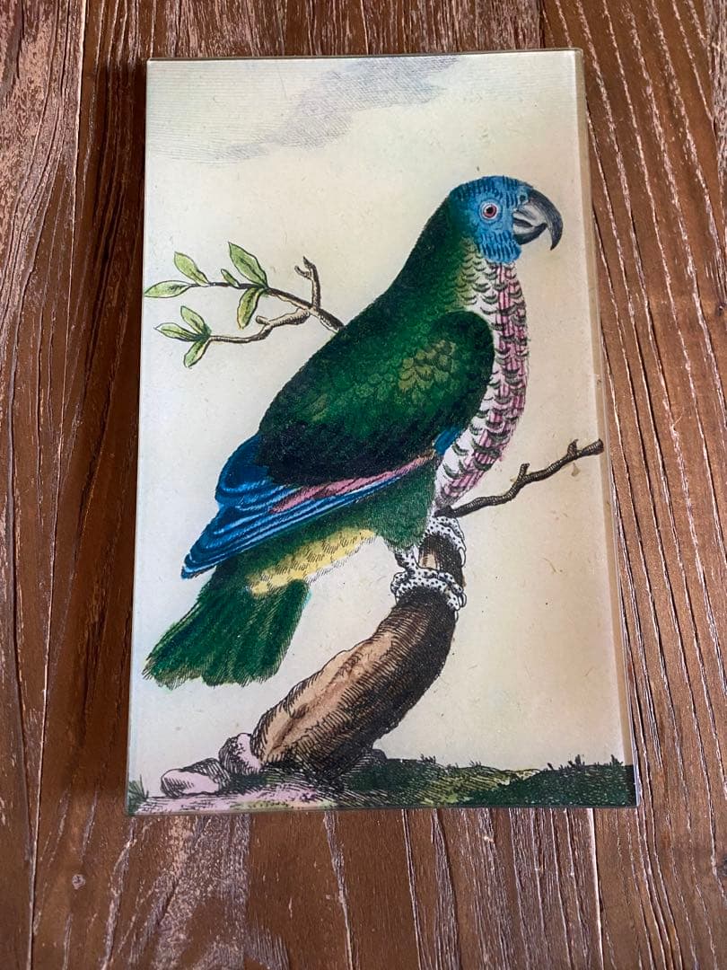 ジョンデリアン　デコパージュプレート