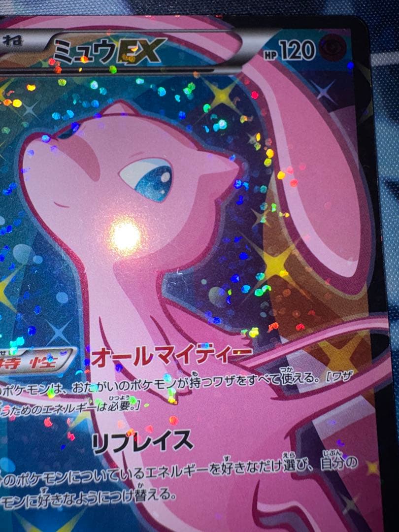 確認用（購入された場合は愛犬の写真送ります）