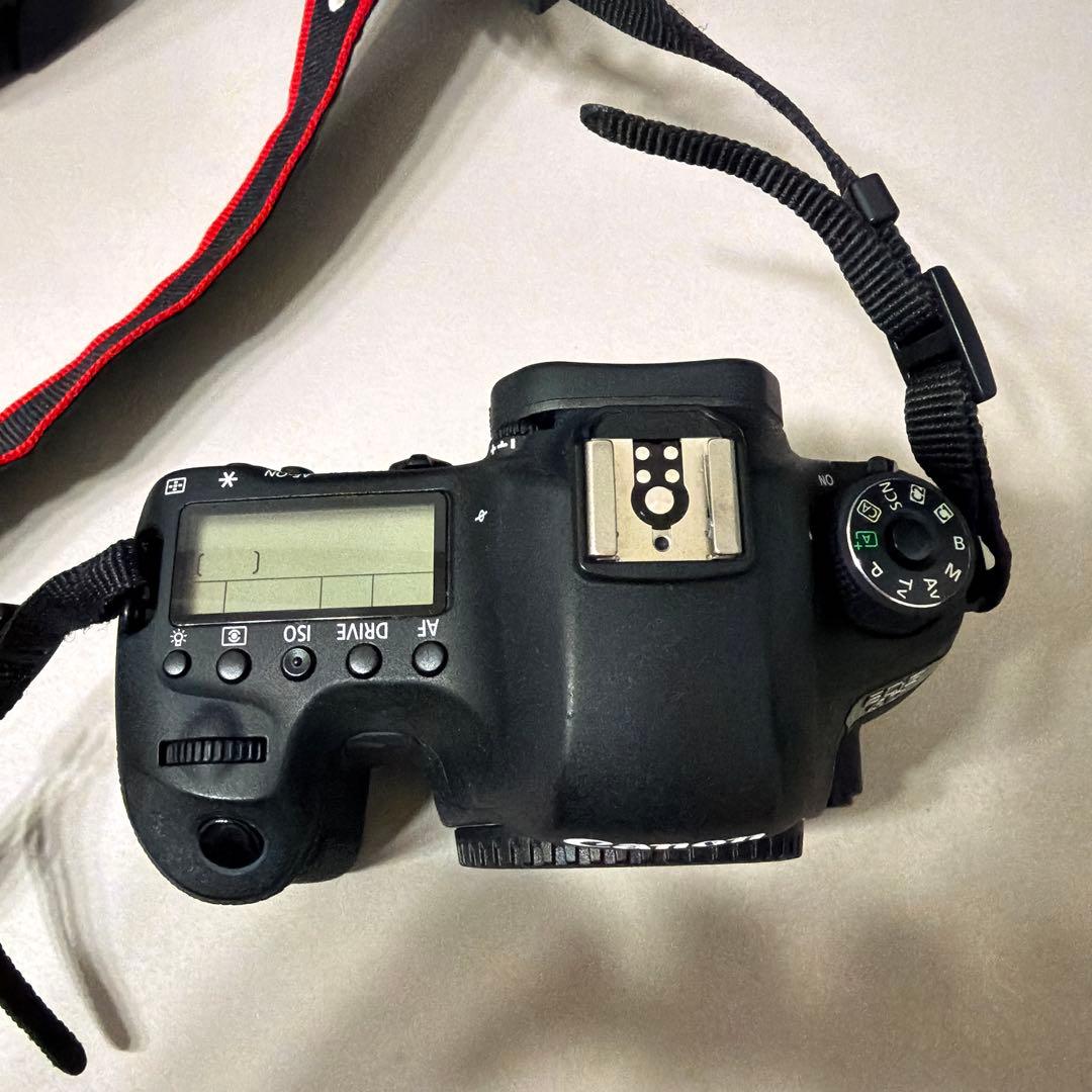 EOS 6D EF24-70 セット