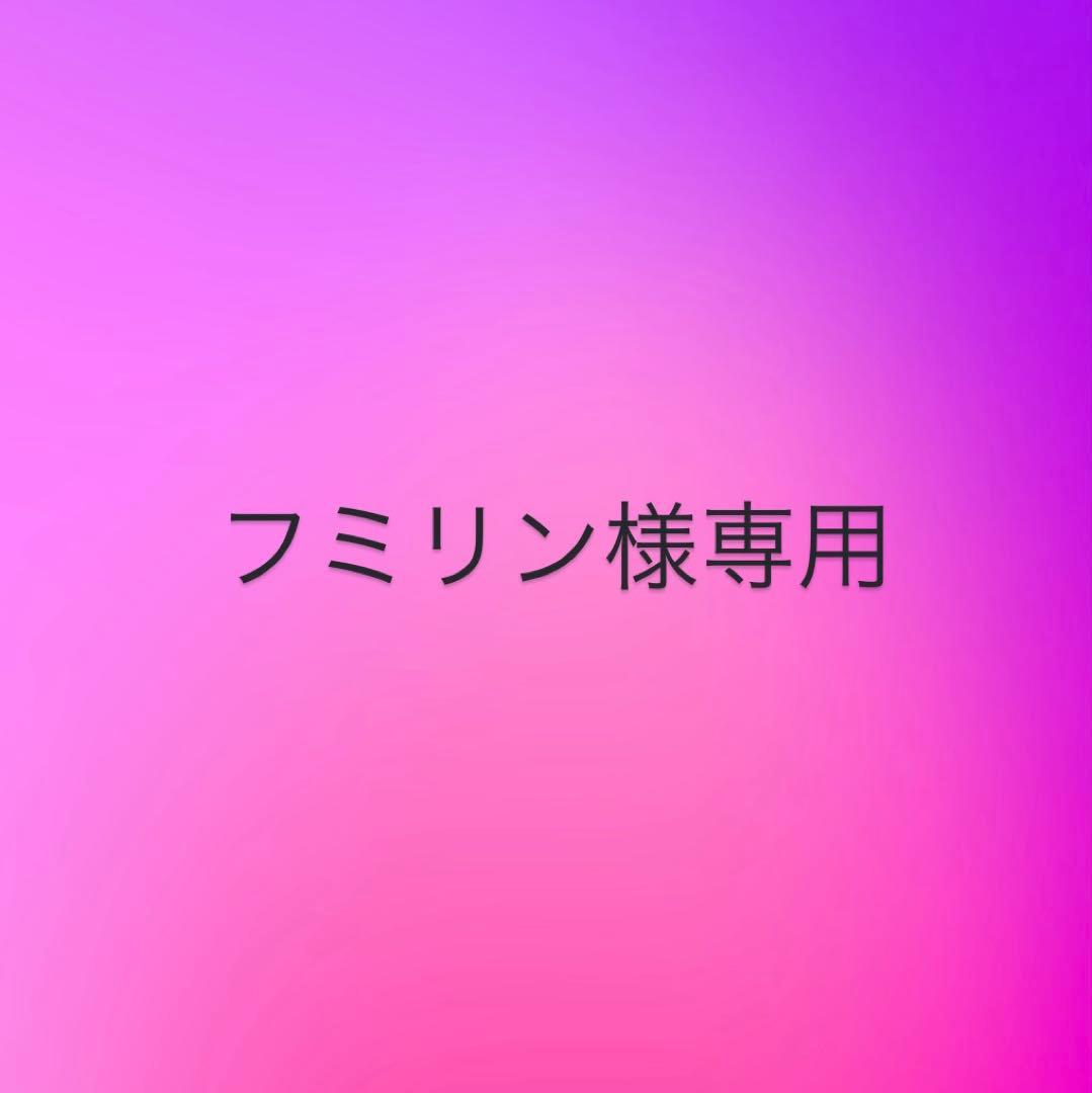 フミリンページ （1/4発送）