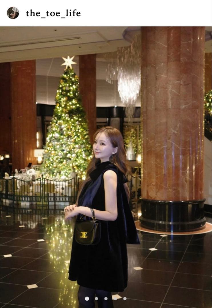 【THE TOÉ】 Heidelberg Dress（black）【完売品】