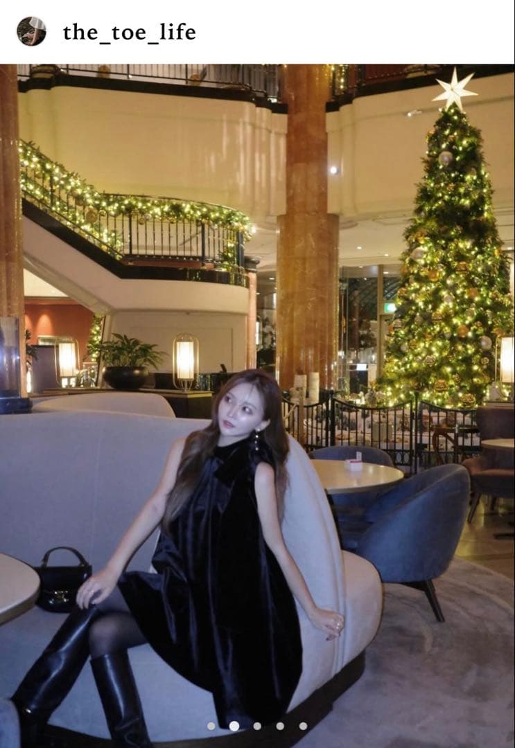 【THE TOÉ】 Heidelberg Dress（black）【完売品】